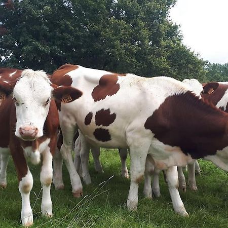 Gite A La Ferme, Avec Animaux, Fromages Et Nature Neuville-les-Decize Kültér fotó