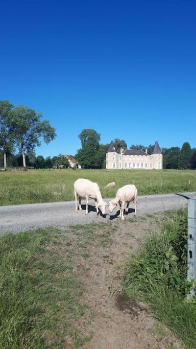 Gite A La Ferme, Avec Animaux, Fromages Et Nature Neuville-les-Decize Kültér fotó