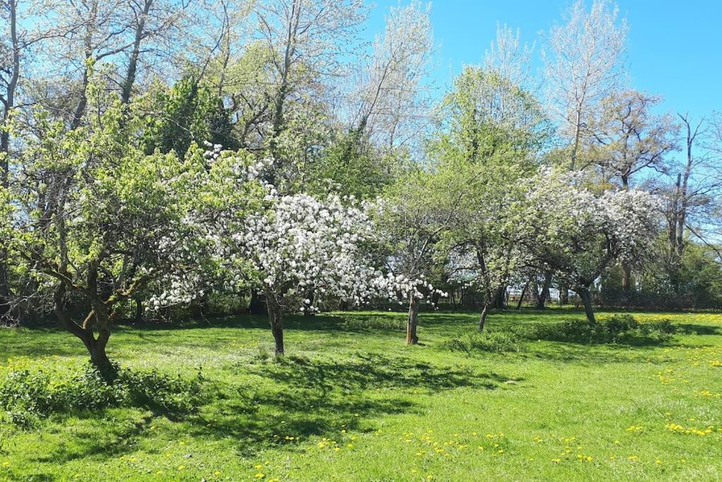 Gite A La Ferme, Avec Animaux, Fromages Et Nature Neuville-les-Decize Kültér fotó